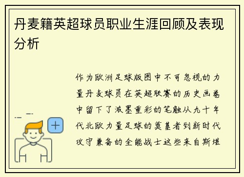 丹麦籍英超球员职业生涯回顾及表现分析