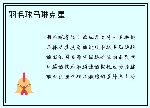 羽毛球马琳克星